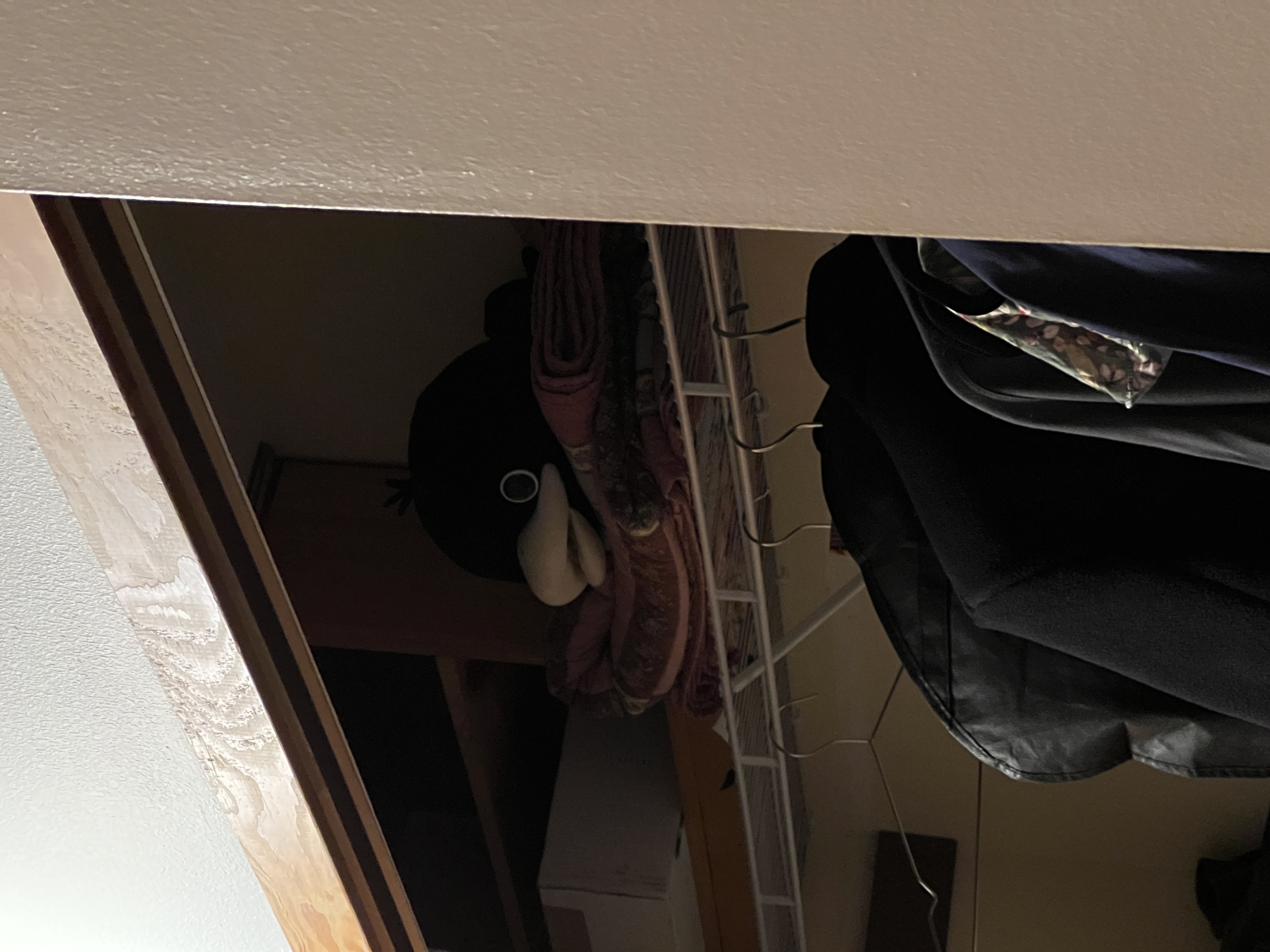 Photo of duck doll in closet